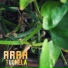 Araa