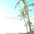 Tropical Christmas Project