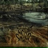 Acid Swamp