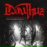 Dauthuz