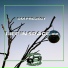 DM Project, Diego Burroni, Marco Gobbi