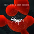 TheElement, Saam Roberts