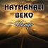 Haymanalı Beko