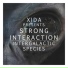 Xida Presents Strong Interaction