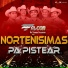 Falcon De Tierra Caliente