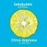 Sebukulele