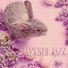 Jazz douce musique d'ambiance