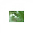 Mindfulness Healing BGM Project