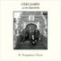 Ceri James & The Three Fifths