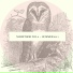 Simian Ghost