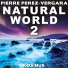 Pierre Perez-Vergara