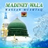 Hassan Mushtaq