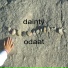 Dainty