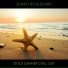 Record Chillout Radio