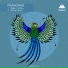 https: t.me fetichemusic