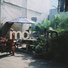 Moledro