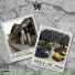 Duse Beatz feat. Es Gudda, La Duce, Yung Maja