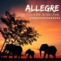 Percussioni Aborigene