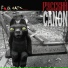 Fake Cats Project