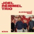 Joel Remmel Trio, Aleksander Paal