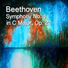 The St Petra Russian Symphony Orchestra