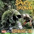 Savoy Brown