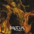 Bretus