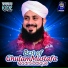 Ghulam Mustafa Qadri Siddique