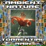 Ambient Nature
