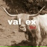 Val ex