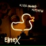 EnteX