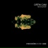 Ortin Cam