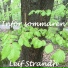 Leif Strandh