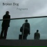 Broken Dog