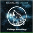 Boomslang