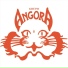 Grupo Angora