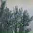 Ole Wallner