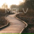 Malv