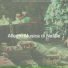 Allegro Musica di Natale