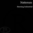 Natterum
