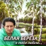 Александр Бабарык