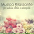 Olistica