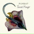 David Mayer