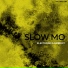 Stevems