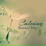 Sounds of Nature Relaxation