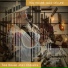 Tea House Jazz Deluxe