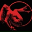 Aria Music Designs