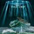 Flito H.A.M. feat. Elz Mighty