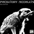 Predatory Meerkats