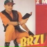 Miroljub Brzakovic Brzi